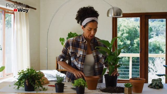 1 Банка! Черенки Все В Корнях За 2 Дня! Мощный Отвар Для Образования Корней Своими Руками смотреть онлайн