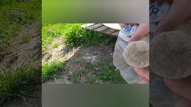 Инструмент для посадки клубники смотреть онлайн