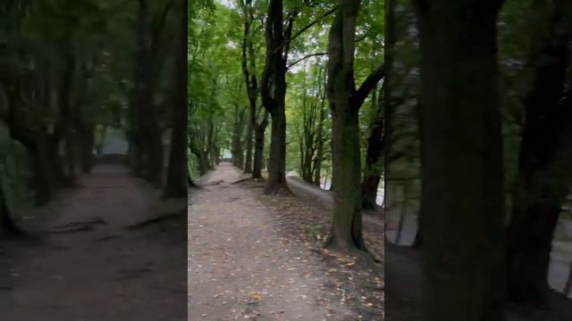 Калининград 2021_ Литовский Вал_ 17.09.21_1800_Смотреть всем смотреть онлайн