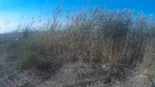 Охота на барсука смотреть онлайн