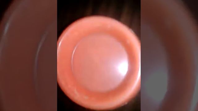 Что нужно купить для хомяка смотреть онлайн