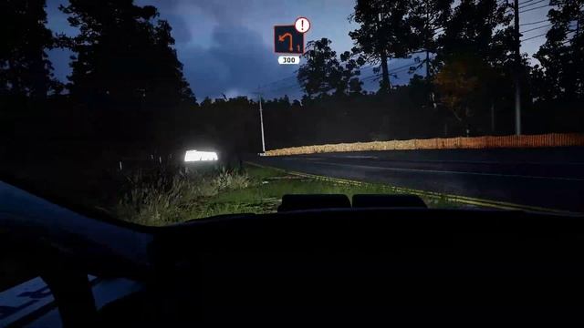 This Is Why WRC 9 Is The Best Rally Game! смотреть онлайн