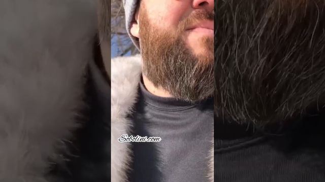 Мужская шуба из финского белого песца смотреть онлайн