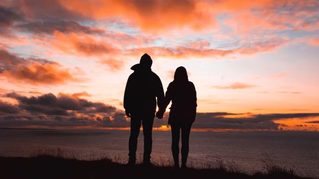 Whitewildbear - NAY смотреть онлайн