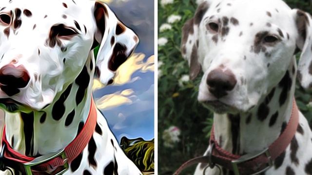 Dalmatian - TOP 10 Interesting Facts смотреть онлайн