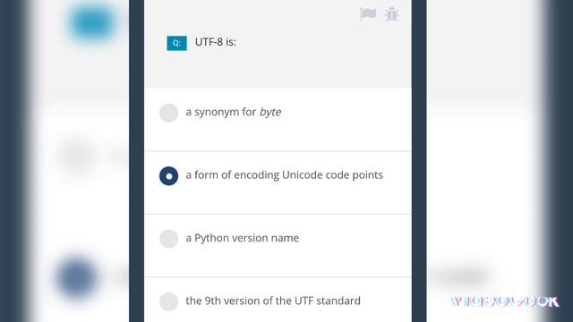 PROGRAMMING ESSENTIALS 2 (PYTHON) MODULE 2 ANSWERS l CISCO l PYTHON CISCO l смотреть онлайн