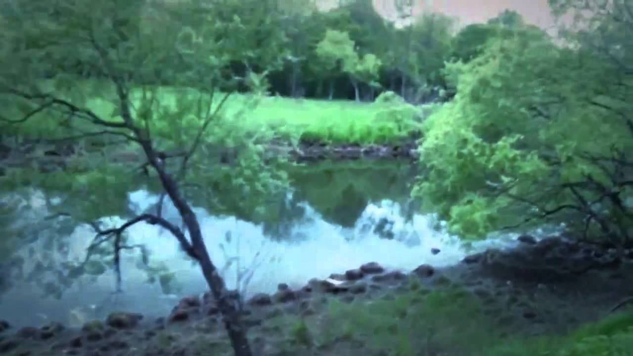 Бирстрайкбол - Google+ отмочил