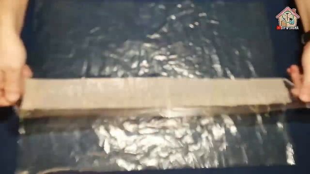 Домашнее проращивание семян томатов. Дикая роза. День 5. DIY & DACHA. Ep 74. смотреть онлайн