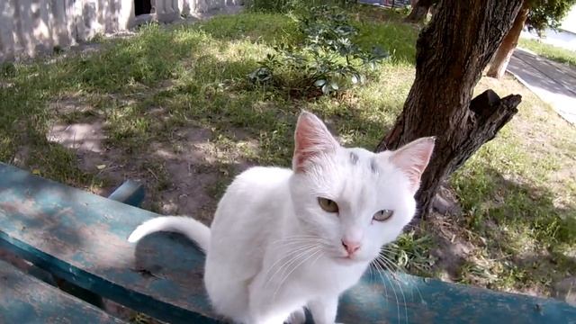 Проверка резкости камеры RUNCAM2 после механического регулирования. смотреть онлайн