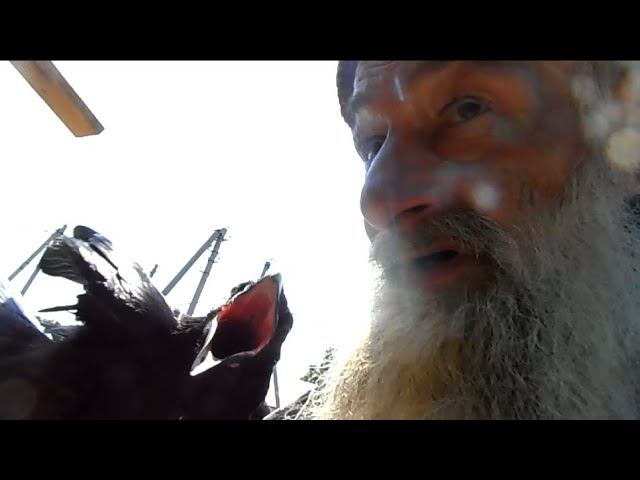 Вечерняя сказка. смотреть онлайн