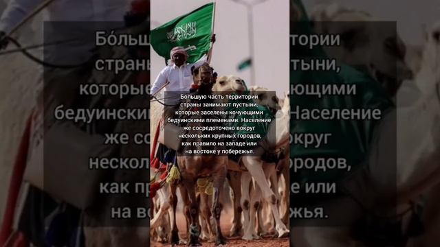 🇸🇦 Саудовская Аравия смотреть онлайн