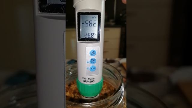 Осина кора. смотреть онлайн