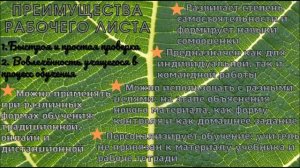 Использование рабочего листа на уроках информатики.