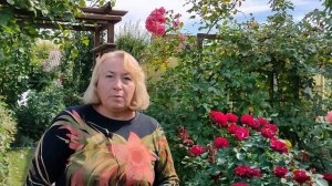 Все, что нужно знать о пересадке розы