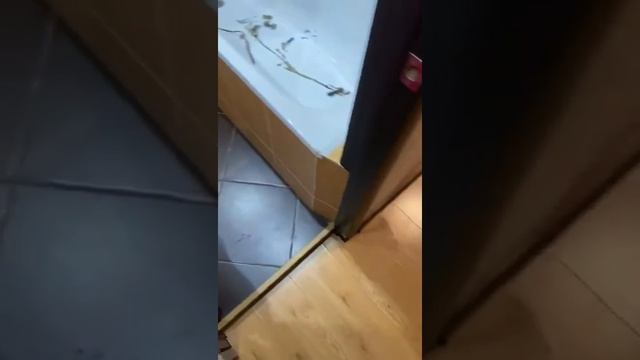 Кот демон, обкакал ванну смотреть онлайн