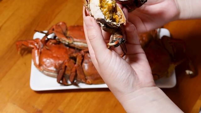 橋の下で「10本の竿」を仕掛けたら・・・すごい結果に。 смотреть онлайн