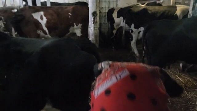 16 декабря 2022 г. смотреть онлайн