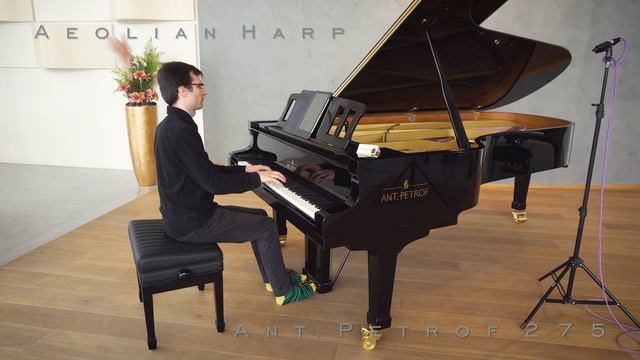 PIANO DEMO: Ant. Petrof 275 - Aeolian Harp смотреть онлайн