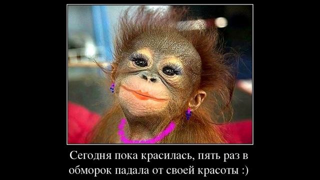ВОСТОЧКА. умная, красивая, 4 высших смотреть онлайн