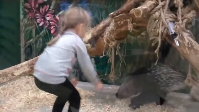 СитиМолл Сургут