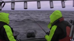 Как поймать крупного лосося на Онеге.