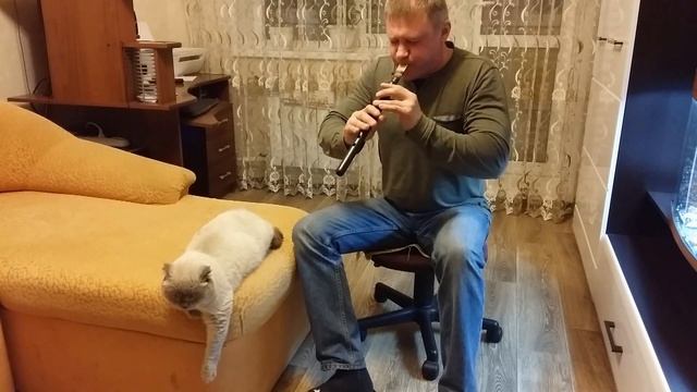 Отар амаи чампеки вра (Армянский дудук) смотреть онлайн