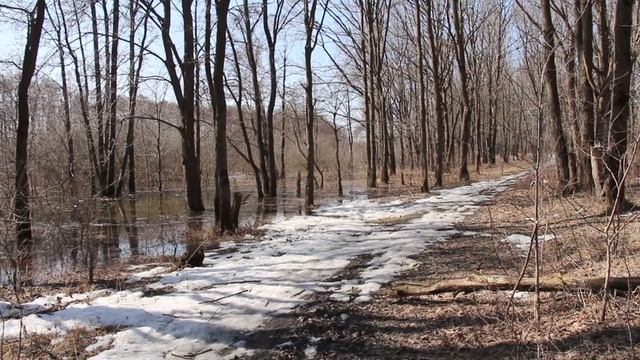 Апрель на окском затоне. смотреть онлайн