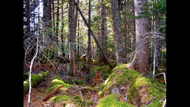 Секреты Творческой Силы