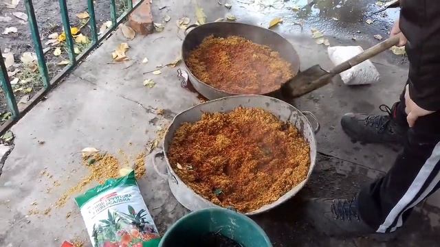 Готуємо субстрат міцелія білого гриба для внесення до фундука та грецького горіха, частина 1 смотреть онлайн