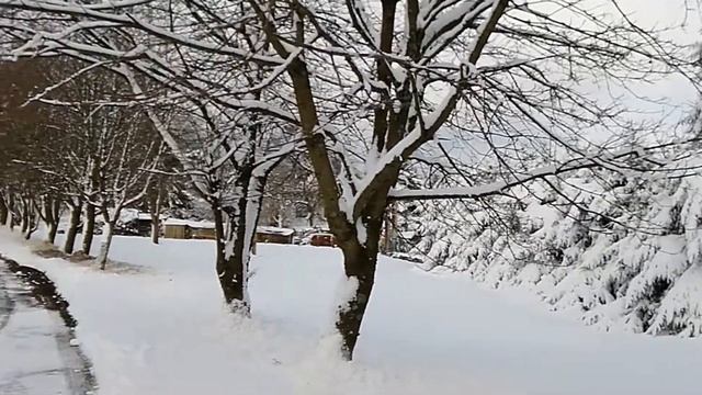 Neuhaus am Rennweg Video 2 am 29.11.2017 смотреть онлайн