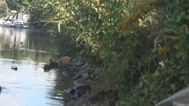 ПЕРВЫЙ РАЗ В ЕВРОПЕ / УЕХАЛ ИЗ РОССИИ В ЧЕХИЮ / Влог Из Чехии смотреть онлайн