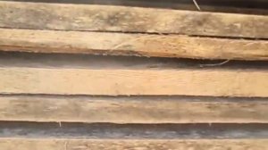 Синева на досках и пиломатериалах. Как ее удалить