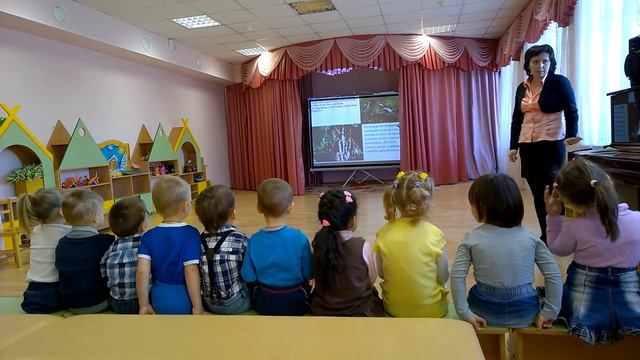 Путешествие в страну птиц смотреть онлайн