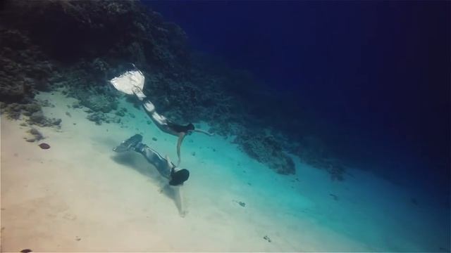 Mermaid \Red Sea\ Egypt\Dahab\Русалки\Красное море\Египет\Дайвинг в Дахабе смотреть онлайн