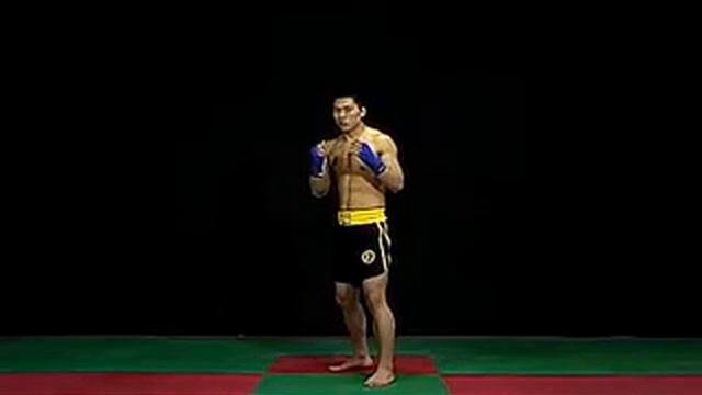 Техника ушу-саньда. смотреть онлайн