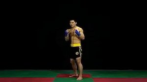 Техника ушу-саньда.