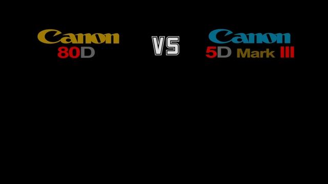 Canon 80D vs Canon 5D Mark III :- Camera Comparison смотреть онлайн