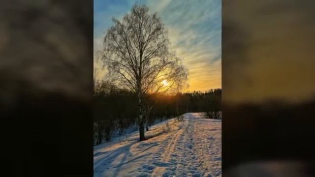 Ещё немного зимней красоты Коми Края смотреть онлайн
