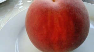 Завершение персикового сезона.Лучшие поздние сорта персика .Последние плоды.