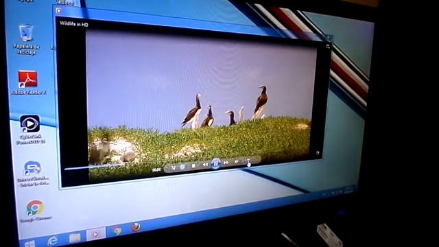LG FLATRON 19 ZONAPC смотреть онлайн