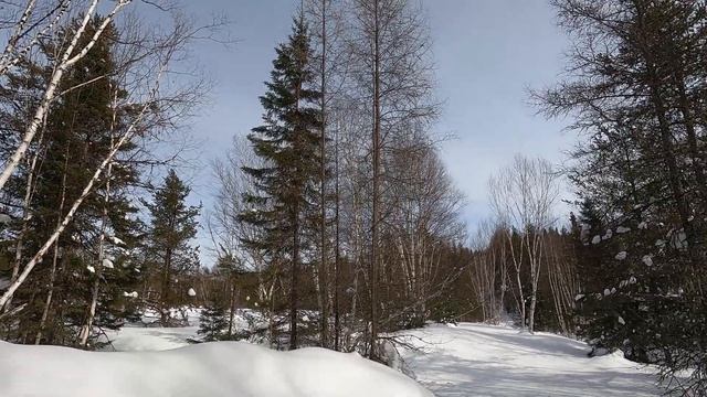 Tundra xtreme 600 etec hors piste - Backcountry смотреть онлайн