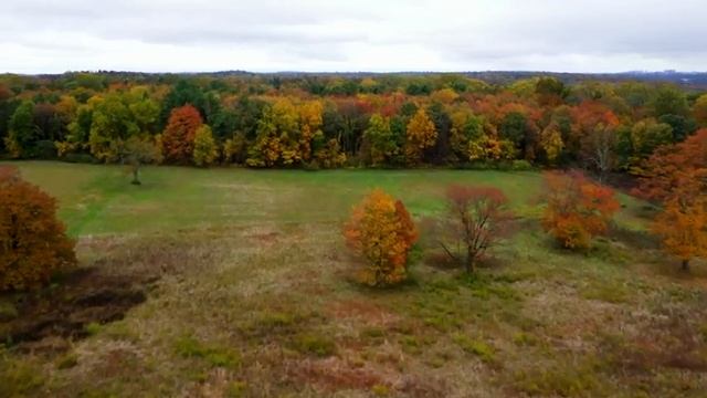 Beautiful Relaxing Music?Peaceful Soothing Instrumental Music?"Eternal Autumn " By Happy Sounds смотреть онлайн