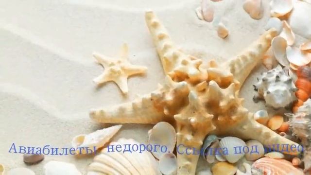 Учим Делать С Любовью