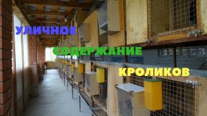 Конструкция клеток для уличного содержания кроликов