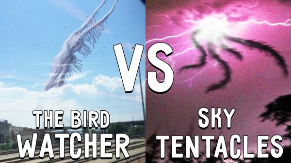 СМОТРИТЕЛЬ ПТИЦ против НЕБЕСНЫЕ ТЕНТАКЛИ в майнкрафт ! Битва THE BIRD WATCHER VS SKY TENTACLES