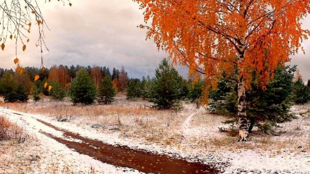 Взаимодействие коллективного сознания человечества с общепланетарным сознанием.
