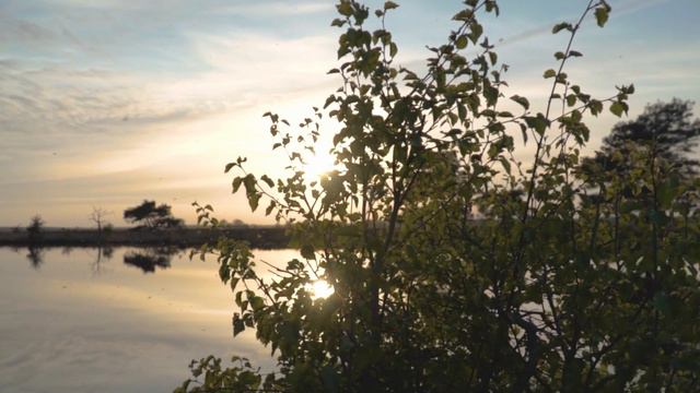 Путь земной авторская песня на стихи Сергея Сорокина 2024г. смотреть онлайн