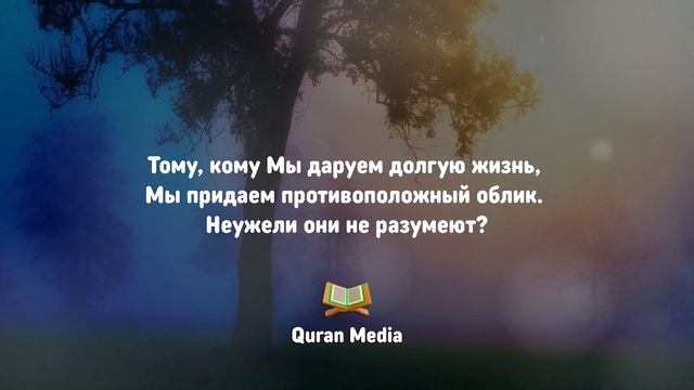 СУРА ЯСИН, РАХМАН. КОРАН НА ВСЮ НОЧЬ. КРАСИВОЕ ЧТЕНИЕ КОРАНА ПЕРЕД СНОМ смотреть онлайн