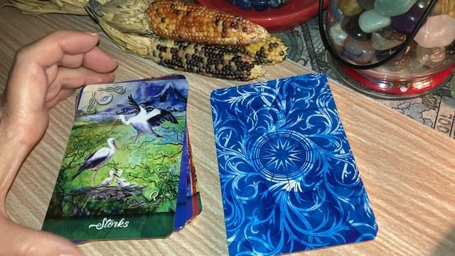Walkthrough of Mirror Truth Lenormand cards смотреть онлайн