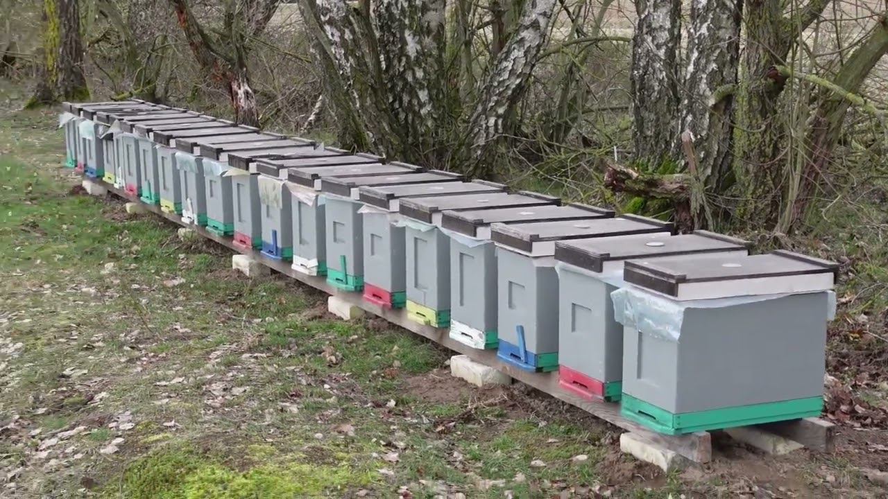 беглый осмотр пасеки смотреть онлайн